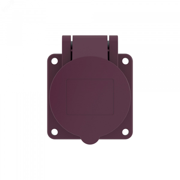 Розетка панельная PSS IP44 16A 2P 25В