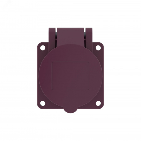 Розетка панельная PSS IP44 16A 2P 25В