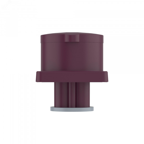 Розетка панельная PSS IP44 16A 2P 25В