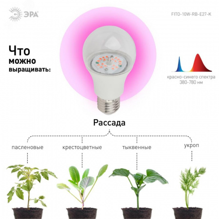 Лампа светодиодная лампа для рассады тип А60, 10 Вт, 220-240V FITO-10W-RB-E27-K