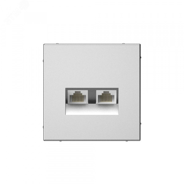 ARTGALLERY РОЗЕТКА двойная компьютерная RJ45+RJ45, кат. 5е, механизм, СТАЛЬ