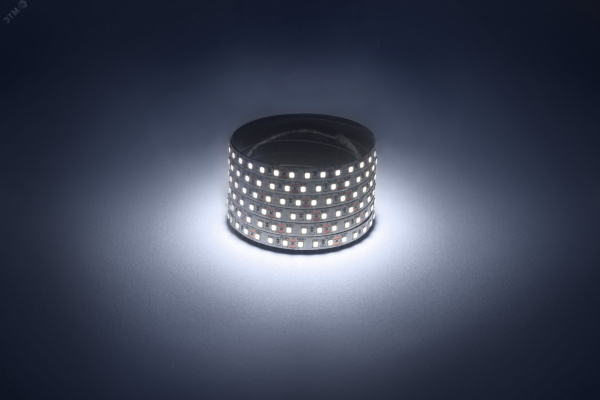 Лента светодиодная 9,6Вт/м 12В 6500К IP20 120LED/м LS2835-120LED-IP20-W-eco-5m