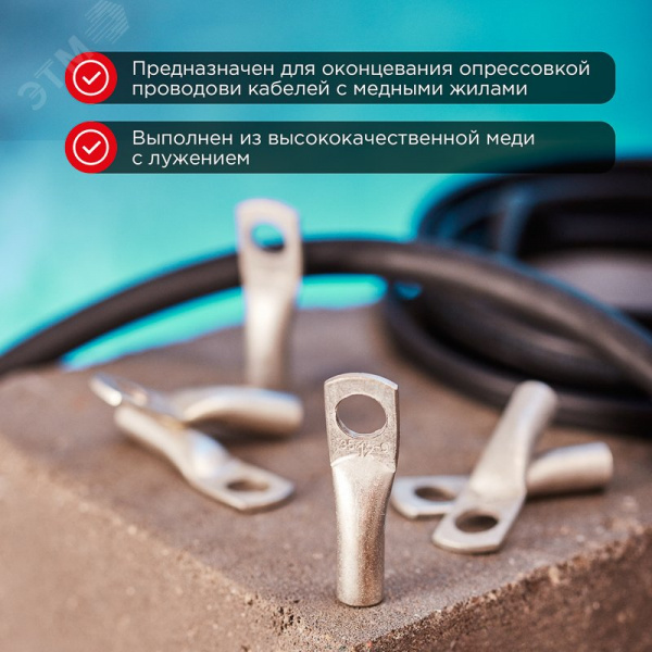 Наконечник медный луженый ТМЛ-Р 2,5–6 (2,5кв мм - 6мм) 100шт, REXANT