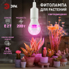 Фитолампа для растений светодиодная розового свечения LED 20 Вт ФИТО A65-20W-PL-E27-GR GREEN LINE