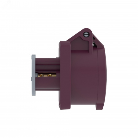 Розетка панельная PSS IP44 32A 2P 25В