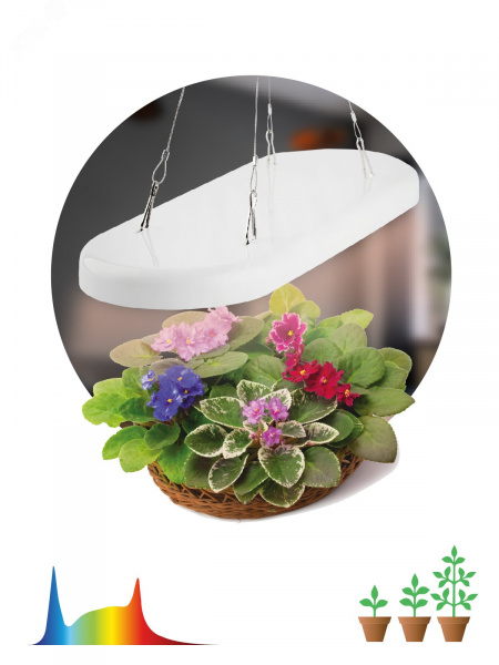 Светильник для растений FITO-25W-QLED-FLY подвесной полного спектра 25 Вт