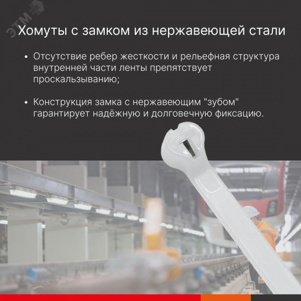 Хомут P6.6 с двойным замком, белый 4,8x300