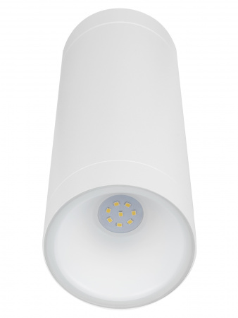 Светильник настенный LED, Тубо, 2х6 Вт, 4000 К, H252 мм, алюм./бел., вверх/вниз, IP65, TDM