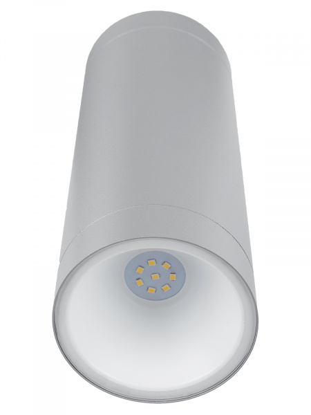 Светильник настенный LED, Тубо, 2х6 Вт, 4000 К, H252 мм, алюм./сер., вверх/вниз, IP65, TDM