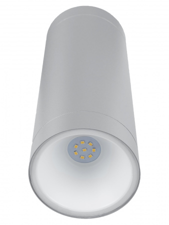Светильник настенный LED, Тубо, 2х6 Вт, 4000 К, H252 мм, алюм./сер., вверх/вниз, IP65, TDM