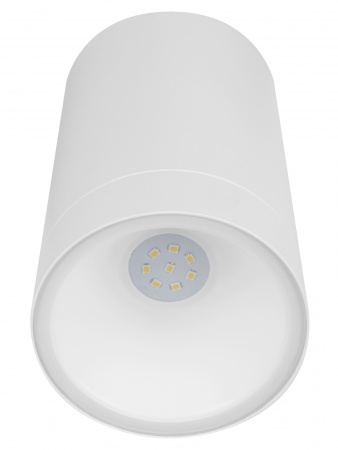 Светильник настенный LED, Соло, 6 Вт, 4000 К, H160 мм, алюм./бел., IP65, TDM