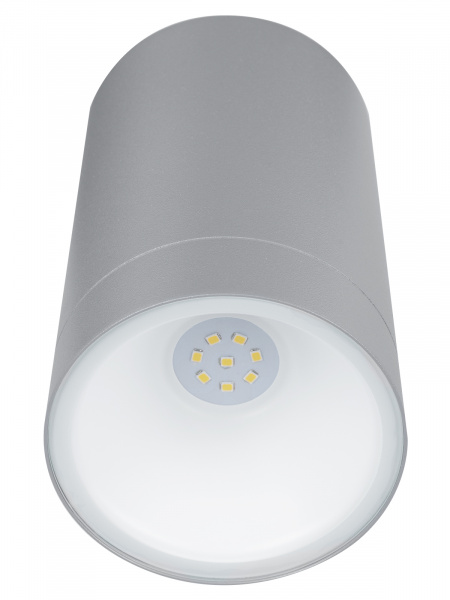 Светильник настенный LED, Соло, 6 Вт, 4000 К, H160 мм, алюм./сер., IP65, TDM