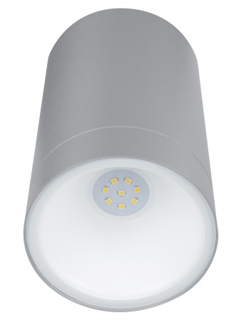 Светильник настенный LED, Соло, 6 Вт, 4000 К, H160 мм, алюм./сер., IP65, TDM