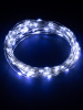 Гирлянда светодиодная "Роса 100-Д" 10 м, 100LED, белый, ПДУ, USB, IP20, TDM