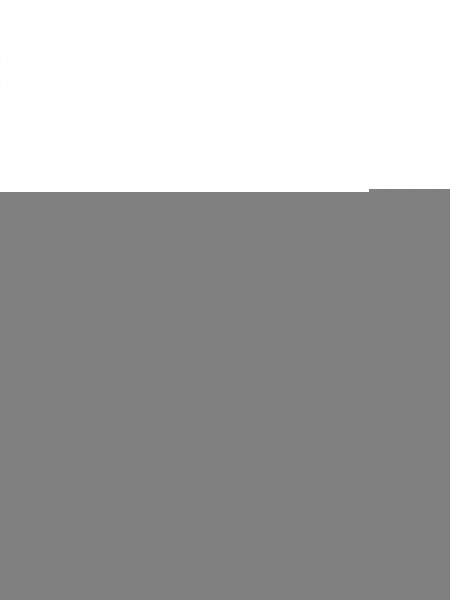 Розетка 4-х местная горизонтальная 2П+3 открытой установки IP20 16A с з/ш белая "Ладога" TDM