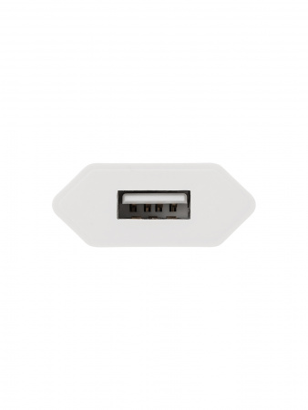 Сетевое зарядное устройство, СЗУ 1, 1 А, 1 USB, белый, TDM