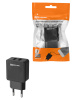 Сетевое зарядное устройство, СЗУ 4, 2,1 А, 2 USB, черный, TDM