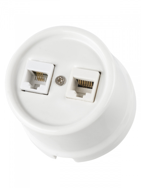 Розетка телефонная RJ11 + компьютерная RJ45 белая «Болонь» TDM