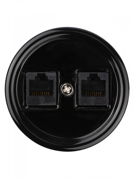 Розетка двойная компьютерная RJ45 черная «Болонь» TDM