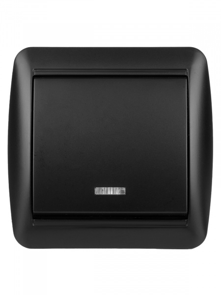 Выключатель 1-кл. открытой установки с подсветкой IP44 10А графит "Селигер" TDM