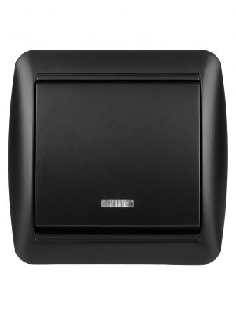 Выключатель 1-кл. открытой установки с подсветкой IP44 10А графит "Селигер" TDM