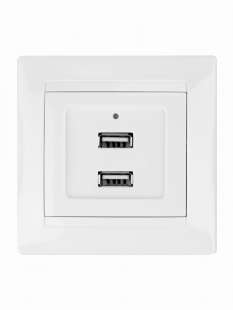 Розетка 2USB порт 2,1А 5В белая "Лама" TDM