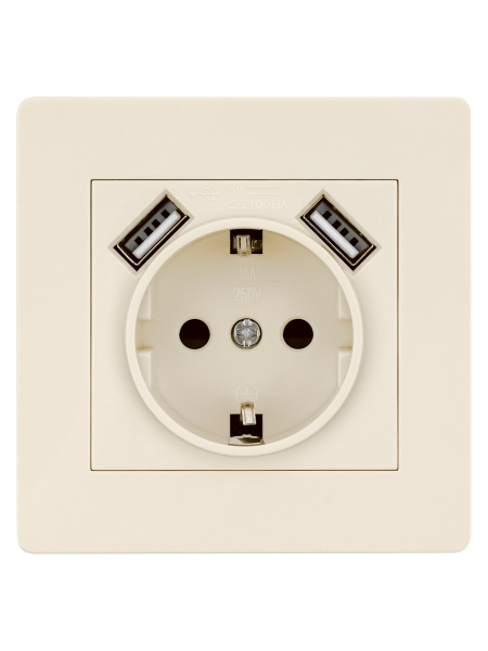 Розетка 2П+З 16А 250В + 2 USB порта 2,1А 5В сл. кость "Сенеж" TDM