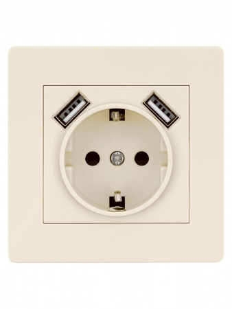 Розетка 2П+З 16А 250В + 2 USB порта 2,1А 5В сл. кость "Сенеж" TDM