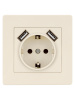 Розетка 2П+З 16А 250В + 2 USB порта 2,1А 5В сл. кость "Сенеж" TDM