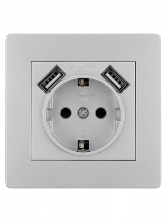 Розетка 2П+З 16А 250В + 2 USB порта 2,1А 5В серебр. металлик "Сенеж" TDM