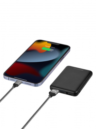 Внешний аккумулятор "Юкон 5", 5000 mAh, 2.4 А, 2 USB, Type-C, TDM