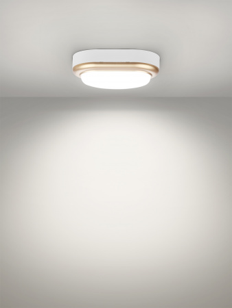 Светильник накладной LED ДПО "Антарес" 8Вт 6500К овал 168*100*58 мм мат.золото IP54 TDM