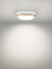 Светильник накладной LED ДПО "Антарес" 8Вт 6500К овал 168*100*58 мм мат.золото IP54 TDM