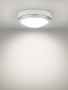 Светильник накладной LED ДПО "Антарес" 15Вт 6500К круг 180*66 мм мат.серебро IP54 TDM