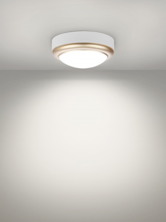 Светильник накладной LED ДПО "Антарес" 8Вт 6500К круг 140*58 мм мат.золото IP54 TDM