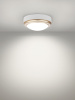 Светильник накладной LED ДПО "Антарес" 8Вт 6500К круг 140*58 мм мат.золото IP54 TDM