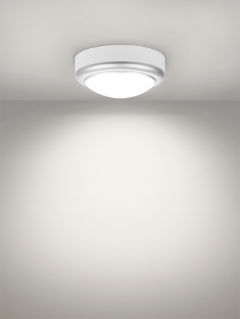 Светильник накладной LED ДПО "Антарес" 8Вт 6500К круг 140*58 мм мат.серебро IP54 TDM
