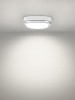 Светильник накладной LED ДПО "Антарес" 8Вт 6500К овал 168*100*58 мм мат.серебро IP54 TDM