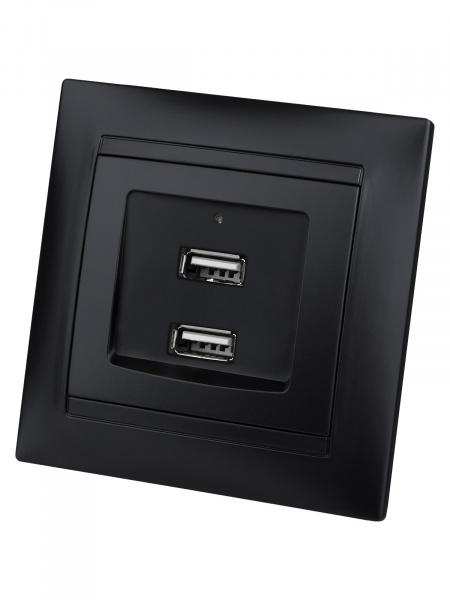 Розетка 2USB порт 2,1А 5В графит "Лама" TDM