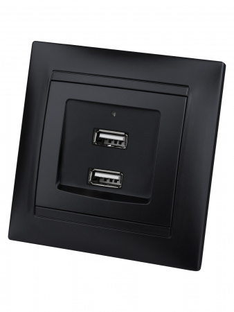 Розетка 2USB порт 2,1А 5В графит "Лама" TDM