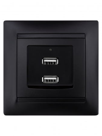 Розетка 2USB порт 2,1А 5В графит "Лама" TDM