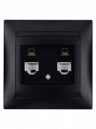 Розетка компьютерная двойная RJ45 графит "Лама" TDM