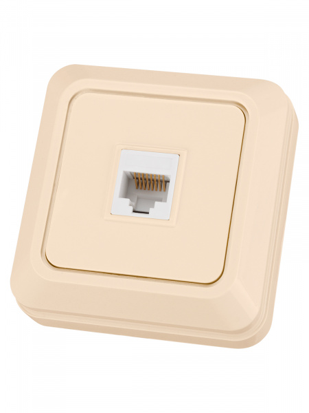 Розетка компьютерная (RJ-45) открытой установки IP20, сл. кость "Ладога" TDM