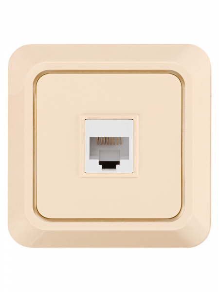 Розетка компьютерная (RJ-45) открытой установки IP20, сл. кость "Ладога" TDM
