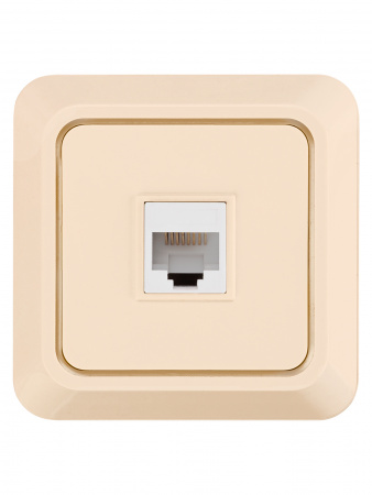 Розетка компьютерная (RJ-45) открытой установки IP20, сл. кость "Ладога" TDM