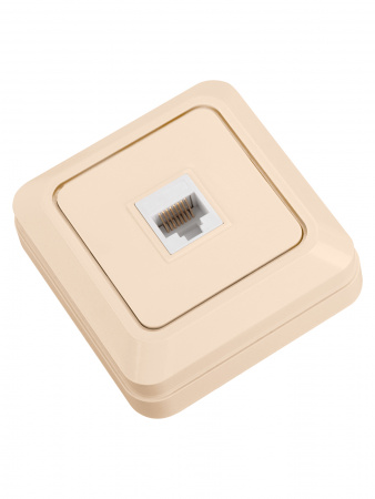 Розетка компьютерная (RJ-45) открытой установки IP20, сл. кость "Ладога" TDM
