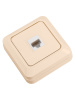 Розетка компьютерная (RJ-45) открытой установки IP20, сл. кость "Ладога" TDM