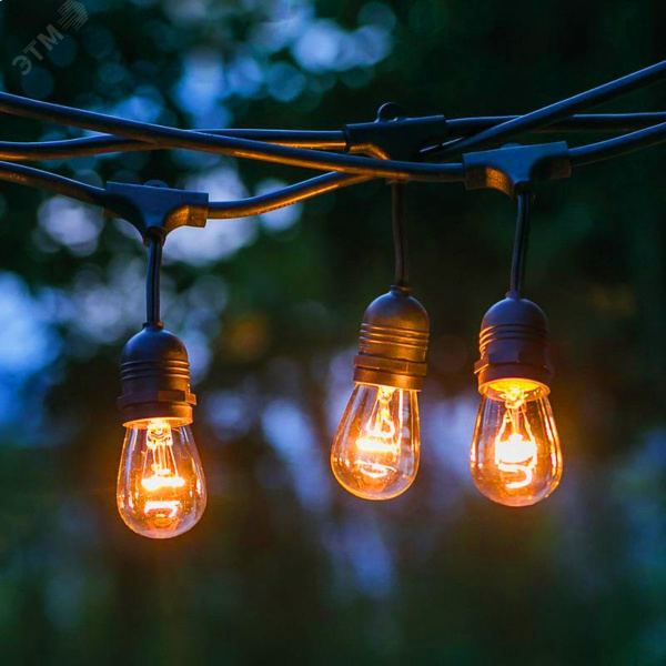 Гирлянда нить Филамент 2, 9,5 м, длина провода 60 см, 20 LED, теплый белый, E27, каучук, 220В, IP44 ERABL-FIL2