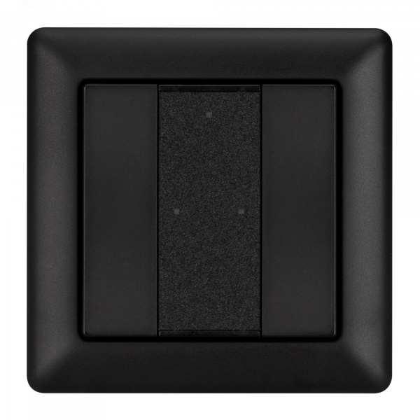 Панель DALI-223-2K-D2-IN-BLACK BUS, Free purpose IARL