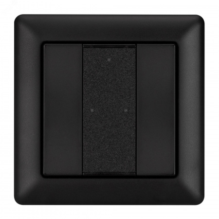Панель DALI-223-2K-D2-IN-BLACK BUS, Free purpose IARL